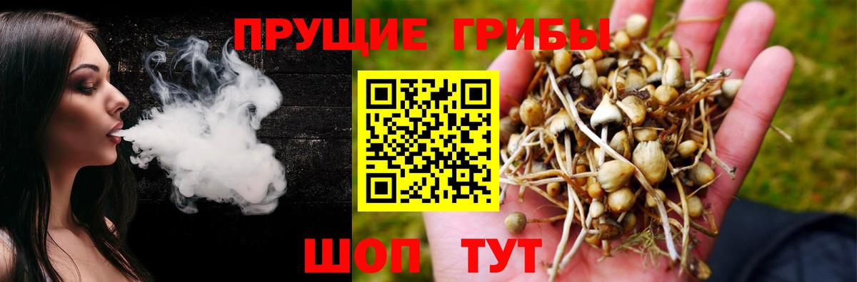 сколько стоит  Вход с VPN  Долгопрудный  Галлюциногенные грибы мухоморы 
